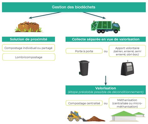 Infographie montrant le cycle complet de valorisation des biodéchets, de la collecte au compostage et à son utilisation dans les sols