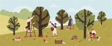 illustration d'enfants cueillant des fruits dans un verger
