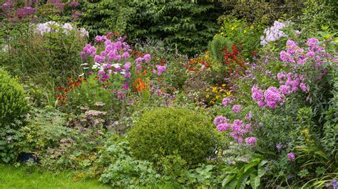 Diversité de fleurs annuelles et vivaces