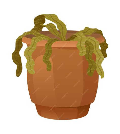 Illustration d'une plante maraîchère saine et d'une plante malade