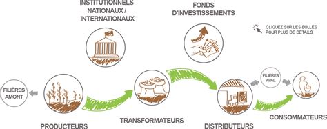 schéma filières professionnelles agricoles