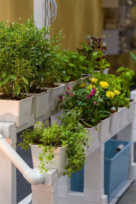Jardin vertical hydroponique sur un balcon