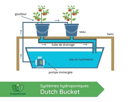 Schéma d'un bac hydroponique avec drainage