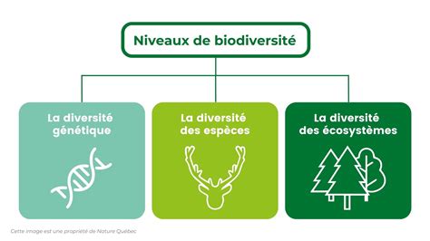 Biodiversité dans un verger