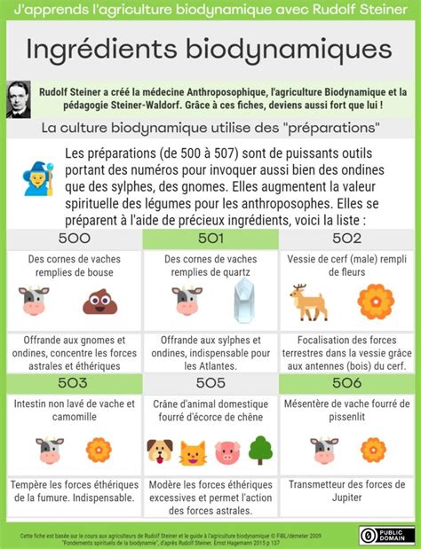 Tableau comparatif des préparations de plantes en biodynamie