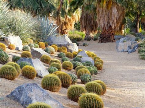 Jardin de plantes grasses sur une plage
