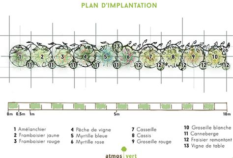 Plan plantation noisetier haie