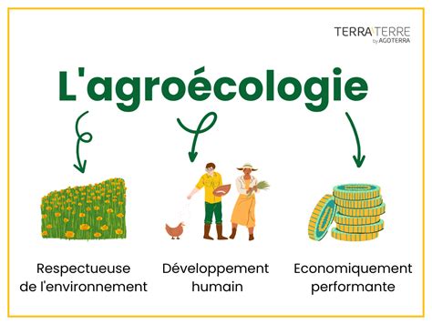 Schéma montrant les bénéfices de l'agroécologie pour l'environnement