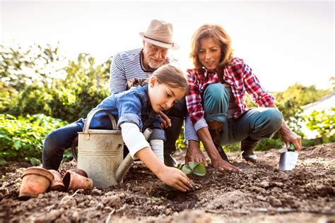 Famille jardinant ensemble avec des outils adaptés