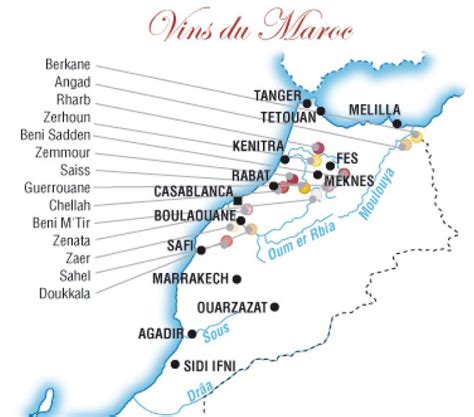 Vignoble marocain