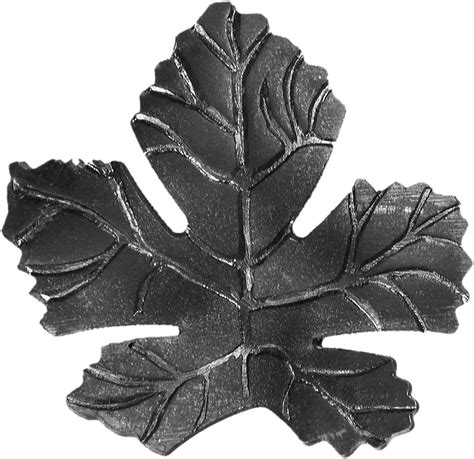 Feuille de vigne carencée en Fer