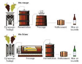 Schéma du processus de fabrication du vin mousseux