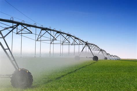 Système d'irrigation par pivot central sur un champ