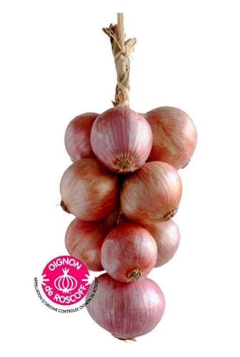 Oignon de Roscoff en tresse