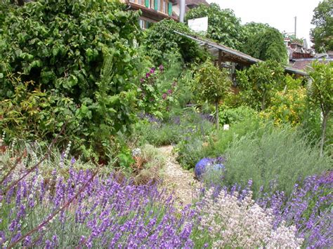 jardin de senteurs avec des chemins