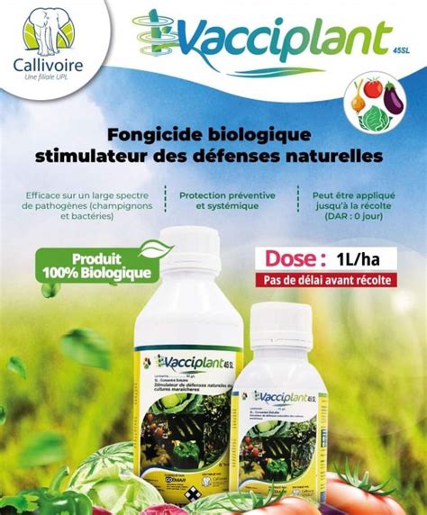 Flacons d'engrais liquide concentré et biostimulant avec des extraits d'algues