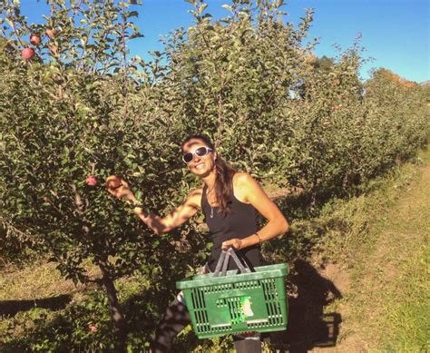 Cueillette de fruits et légumes par des consommateurs