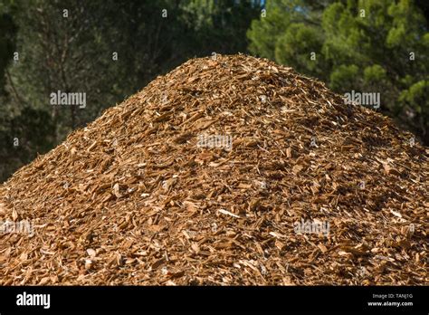 tas de copeaux de bois