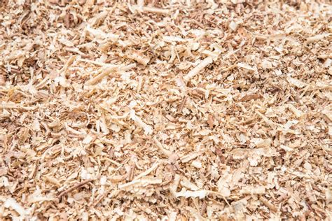 sciure de bois pour paillage