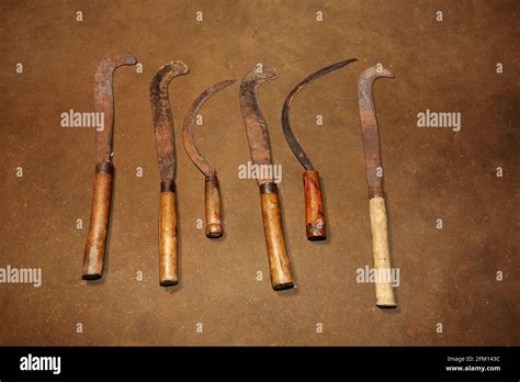 Outils traditionnels d'extraction de tourbe