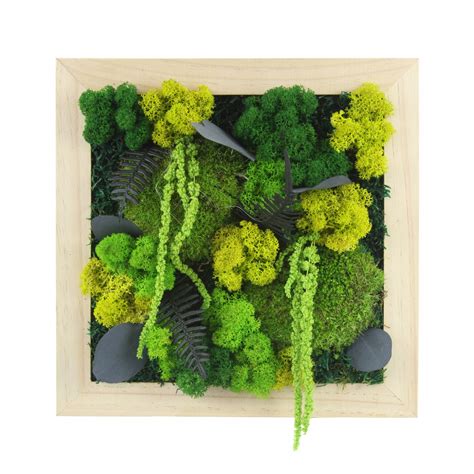 Tableau végétal stabilisé avec mousse et feuillage