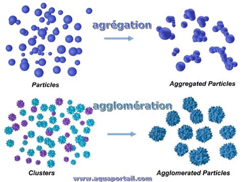 Schéma illustrant l'effet du calcium sur l'agrégation des particules de sol