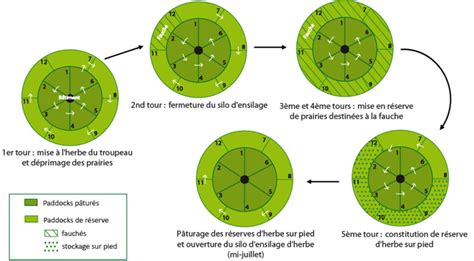 schéma de pâturage tournant