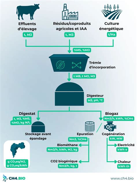 Infographie montrant les substrats dangereux et les raisons de les éviter
