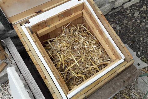 Diagramme d'une caisse d'hibernation pour tortue avec les couches de substrat