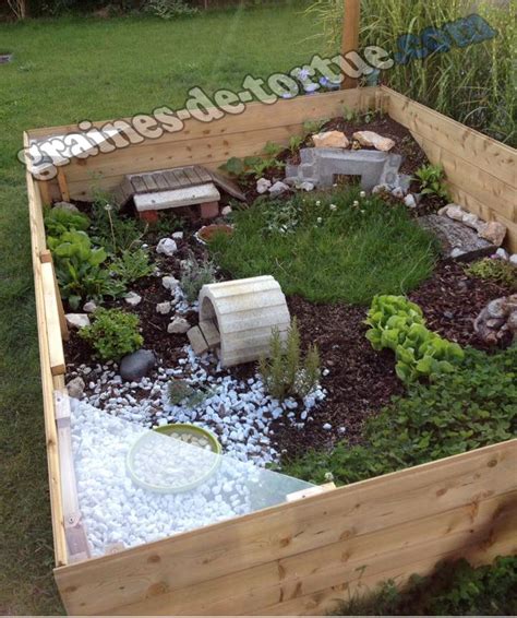 Exemple d'aménagement complet d'un enclos extérieur pour tortue
