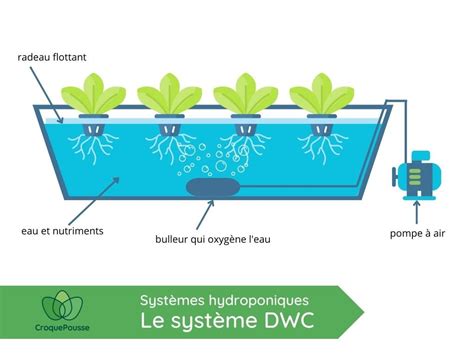 Illustration d'un système hydroponique avec plateau de culture