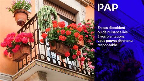 Divers types de jardinières et treillages sur un balcon