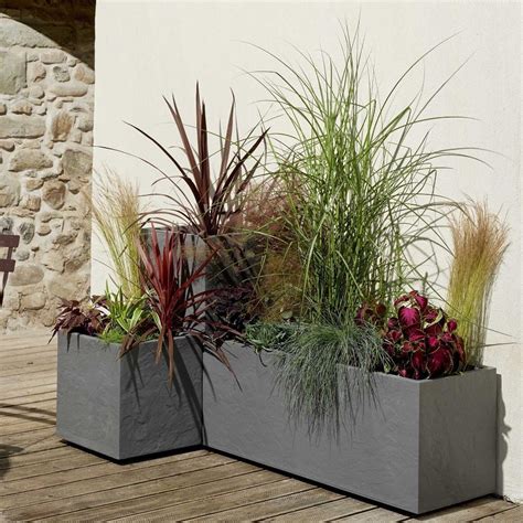 Plantes en jardinières