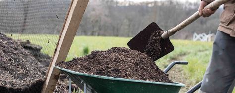 sol amendé avec du compost