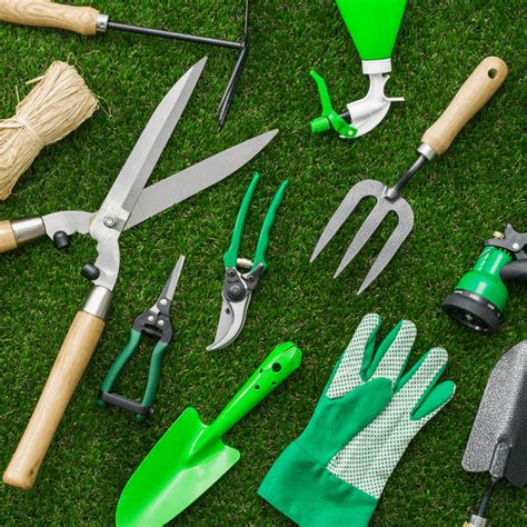 gamme d'outils de jardinage propre et bien rangée