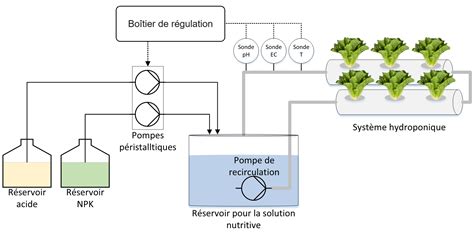 Schéma d'un système de culture hors-sol fermé
