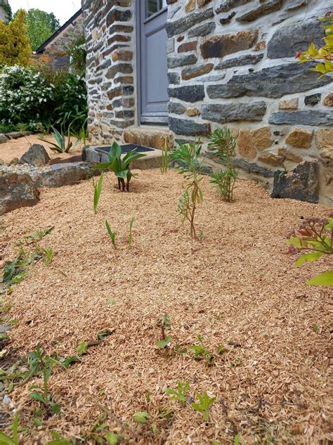 Jardin avec paillage en copeaux de bois