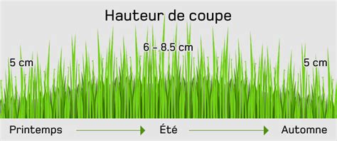 Schéma illustrant les différentes hauteurs de coupe idéales pour un gazon selon la saison