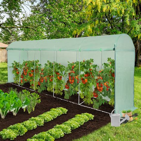Serre de jardinage pour tomates