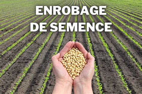 Diagramme illustrant une graine enrobée et les différents éléments de son enrobage