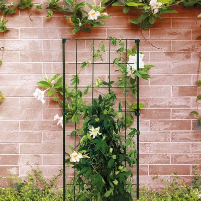 Exemples de treillages muraux pour plantes grimpantes