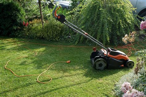 Illustration d'un jardin de taille moyenne avec une tondeuse électrique filaire