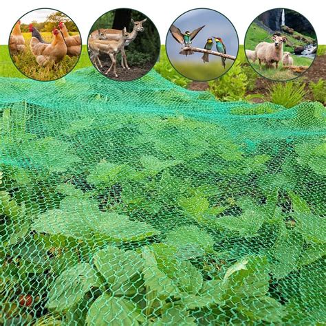 Différents types de filets de protection pour jardin