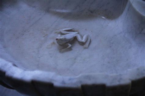 Photographie d'un bénitier avec une grenouille sculptée