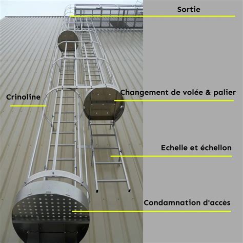 Schéma de fixation d'une échelle pour amphibiens dans un regard