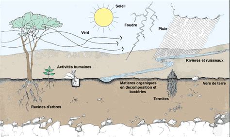 Schéma de l'hydromorphie des sols