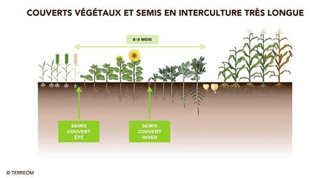 Paramètres influençant le choix des espèces de couverts végétaux