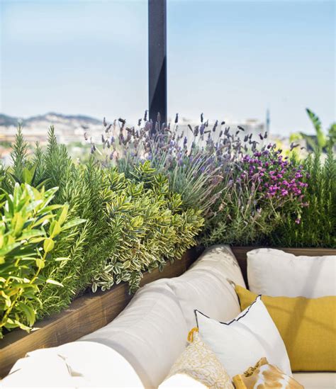 Illustration de diverses jardinières remplies de plantes sur un balcon