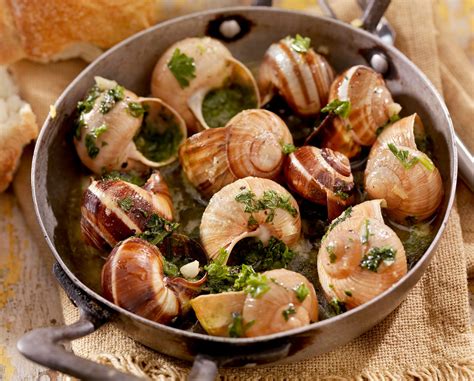 Anneau à escargot pour la cueillette de 4 cm