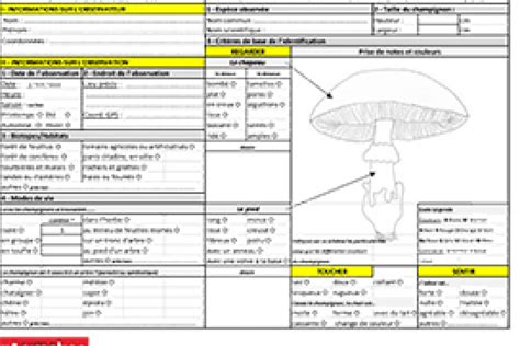 Exemple de fiche 